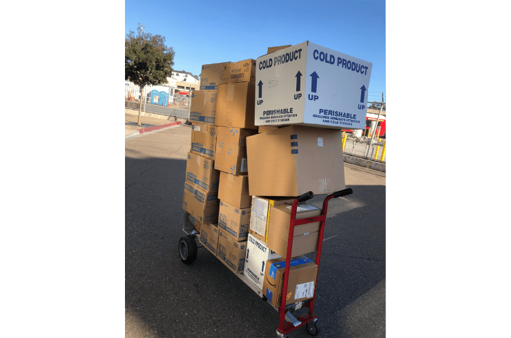 Gonzalez & Sons Moving and Junk Removal
